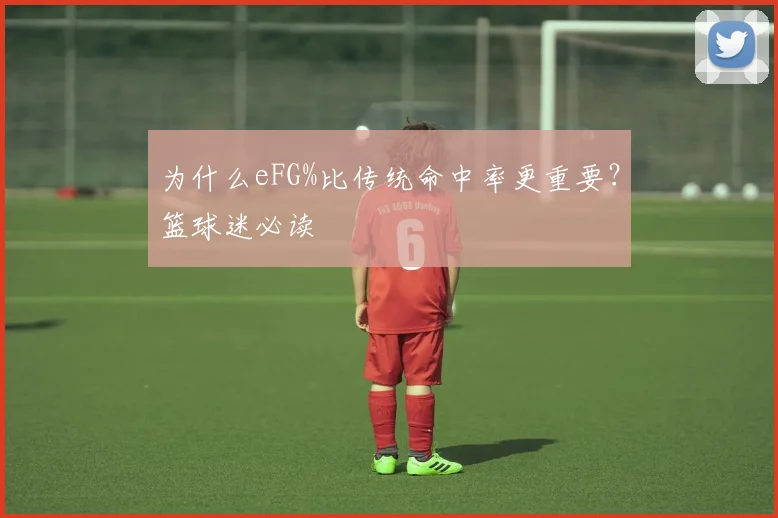 为什么eFG%比传统命中率更重要？篮球迷必读