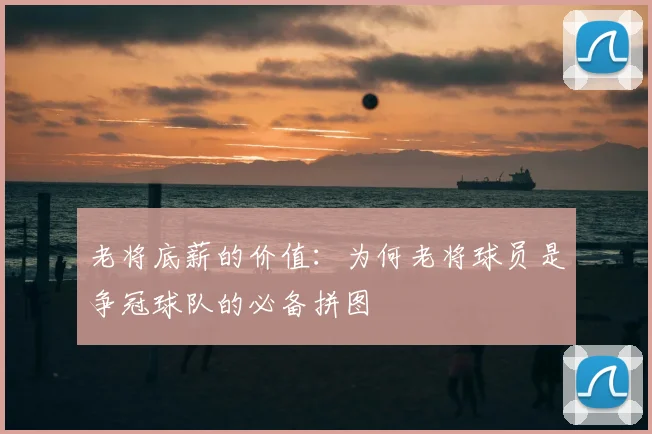 老将底薪的价值：为何老将球员是争冠球队的必备拼图
